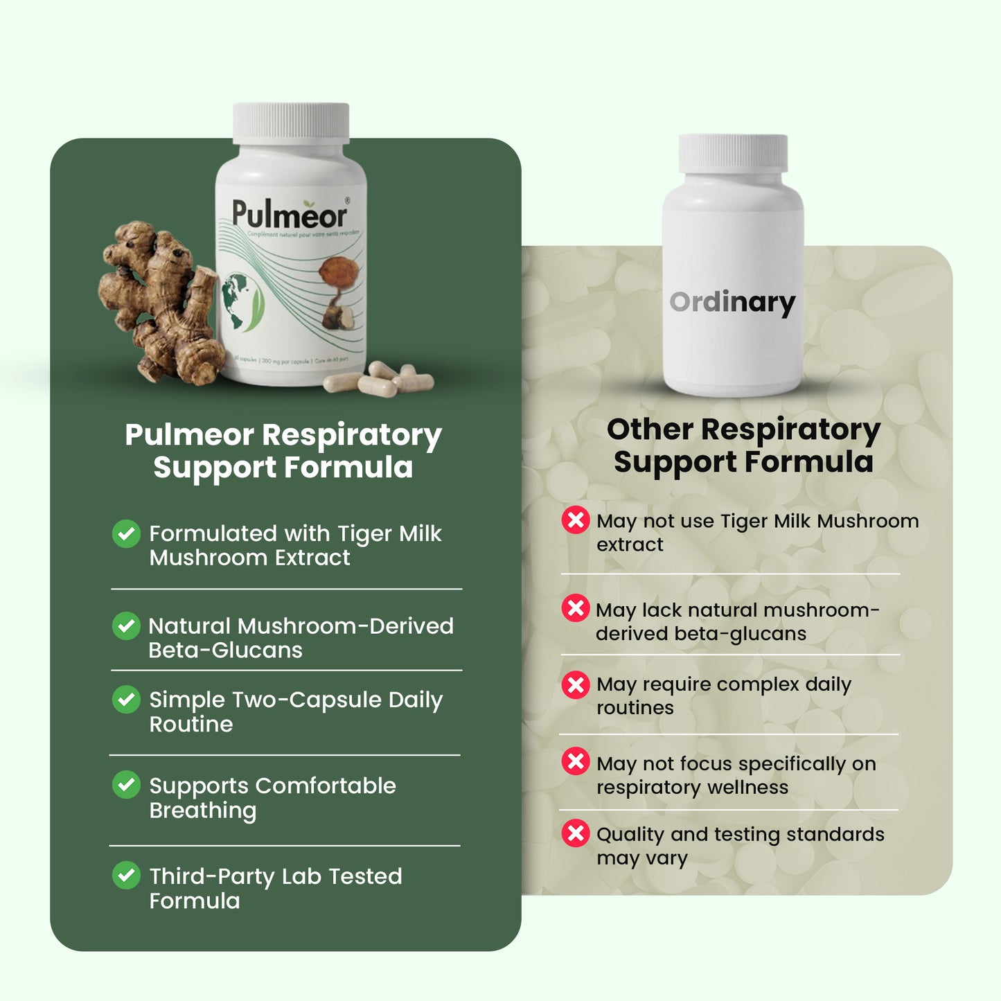 Advanced Lung & Breath Support - Pulmeor